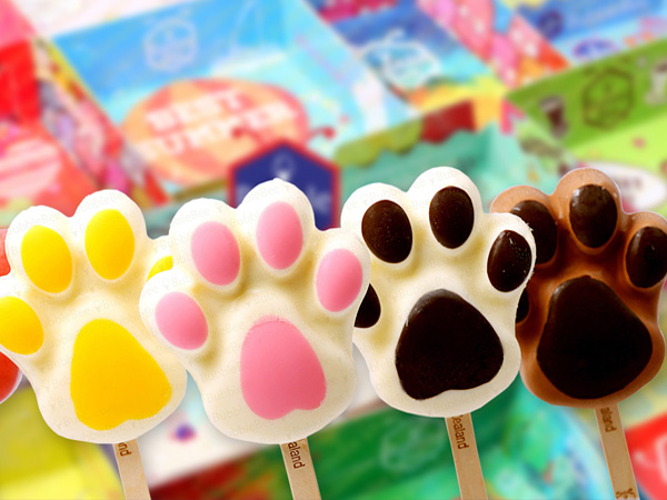 衡陽網站建設公司